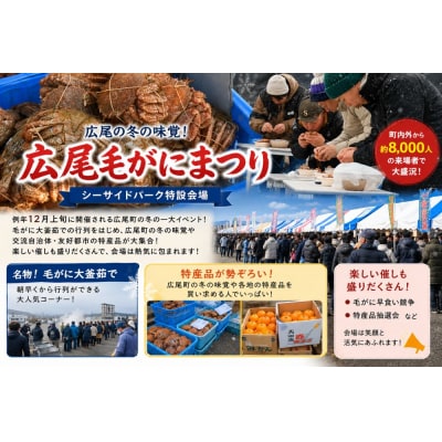 昆布熟成　毛ガニ甲羅宝盛り【ふるさと納税　北海道　十勝　広尾町　毛ガニ　かに】(0141)