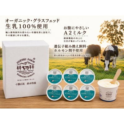  鈴木牧場アイスクリーム 塩ミルク【北海道アイス 　十勝アイス 　広尾 　鈴木牧場】(AC0063)