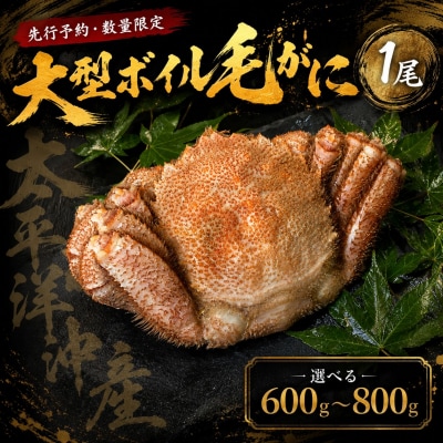 【先行予約・数量限定】大型ボイル毛ガニ【700g】1尾(茹で冷凍)(0145)