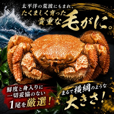 【先行予約・数量限定】大型ボイル毛ガニ【700g】1尾(茹で冷凍)(0145)