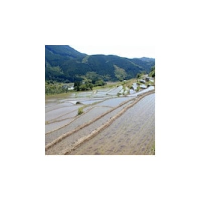 久木野の棚田米(5kg)