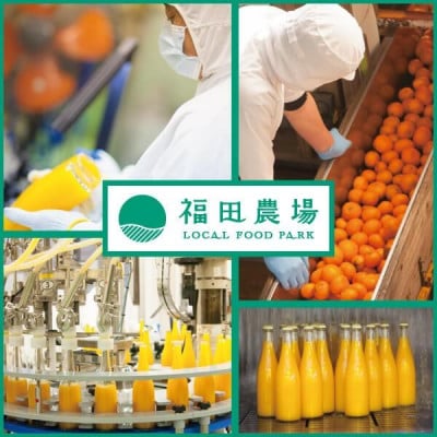 九州を飲む! 九州果実 シロップ デコポン 500ml 1本 【福田農場】