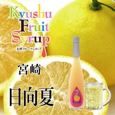 九州を飲む! 九州果実 シロップ 日向夏 500ml 1本 【福田農場】