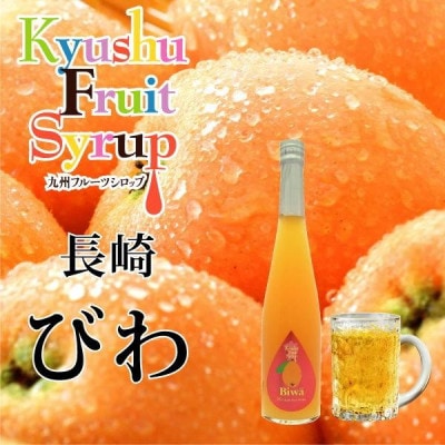 九州を飲む! 九州果実 シロップ びわ 500ml 1本 【福田農場】
