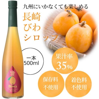 九州を飲む! 九州果実 シロップ びわ 500ml 1本 【福田農場】