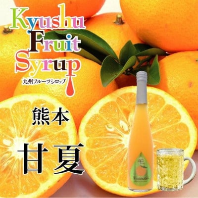 九州を飲む! 九州果実 シロップ 甘夏 500ml 1本 【福田農場】