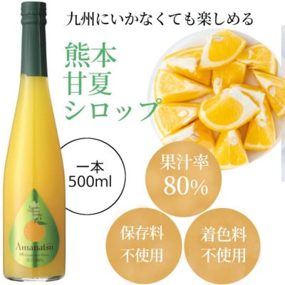 九州を飲む! 九州果実 シロップ 甘夏 500ml 1本 【福田農場】