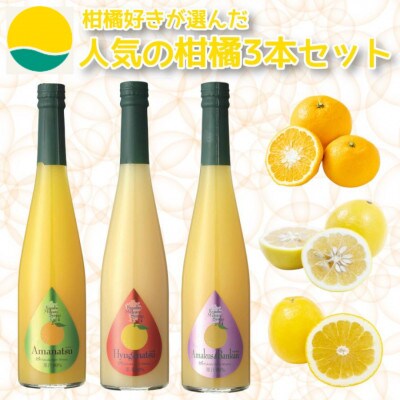 九州を飲む!九州果実 熊本 特産 果実 シロップ セット 500ml 各3本【福田農場】