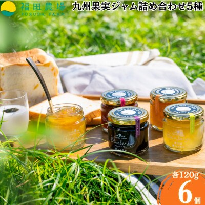 九州果実 ジャム 詰め合わせ 5種 計6個 (各120g)【福田農場】