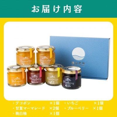 九州果実 ジャム 詰め合わせ 5種 計6個 (各120g)【福田農場】