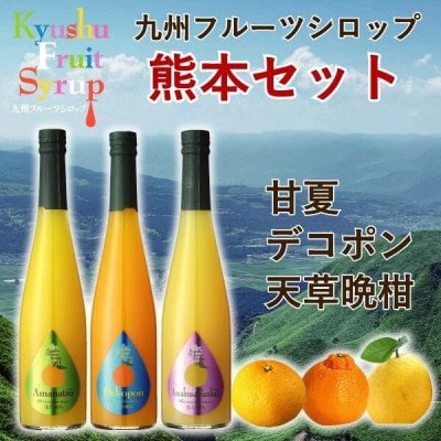 九州果実シロップ【熊本セット】500ml×3本 甘夏・デコポン・天草晩柑