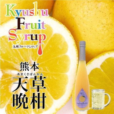 九州果実シロップ【熊本セット】500ml×3本 甘夏・デコポン・天草晩柑