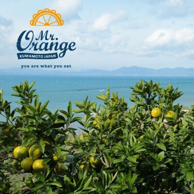 環境マイスターが育てた グレープフルーツ 良 訳あり混合4kg お礼品詳細 ふるさと納税なら さとふる