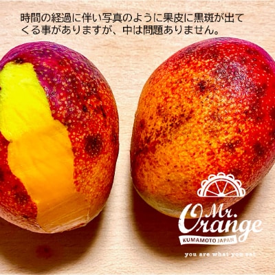 環境マイスターのアップルマンゴー500g