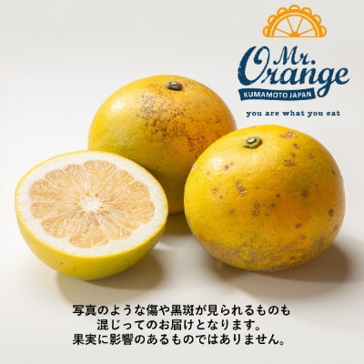 【訳あり】スイーティー(オロブロンコ) 4kg(栽培期間中農薬・化学肥料不使用)