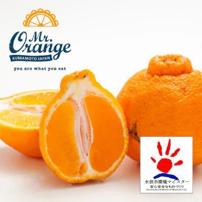 【訳あり】不知火 2.5kg(栽培期間中化学肥料不使用・低農薬栽培)