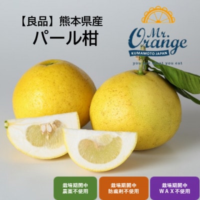 【良品】パール柑 3kg(栽培期間中農薬・化学肥料不使用)