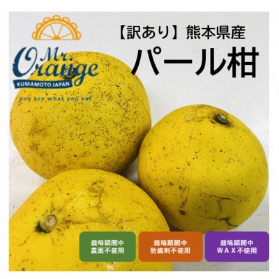 【訳あり】パール柑 4kg(栽培期間中農薬・化学肥料不使用)