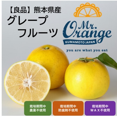 【良品】国産グレープフルーツ 2.5kg (栽培期間中農薬・化学肥料不使用)