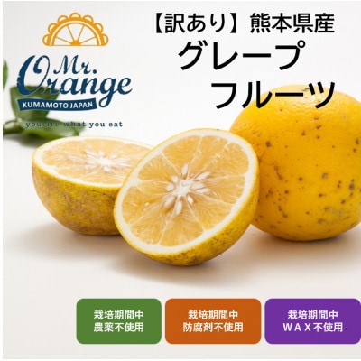 【訳あり】国産グレープフルーツ 6kg(栽培期間中農薬・化学肥料不使用)