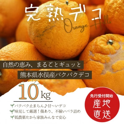 【先行受付】パクパクデコ10kg(ご家庭用)【令和8年2月下旬より順次発送】