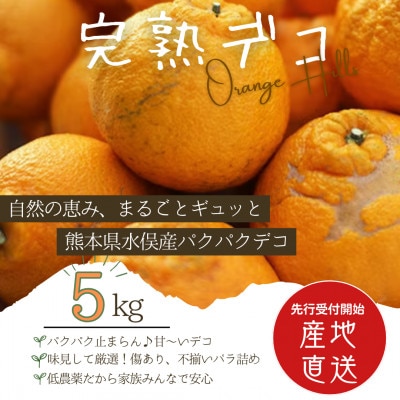 【先行受付】パクパクデコ5kgバラ詰め【令和8年2月下旬より順次発送】