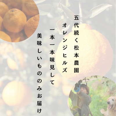 【先行受付】農家の休憩デコ(C品7kg)【令和8年2月下旬より順次発送】
