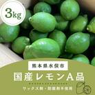国産レモン　A品3kg(県認証特別栽培)