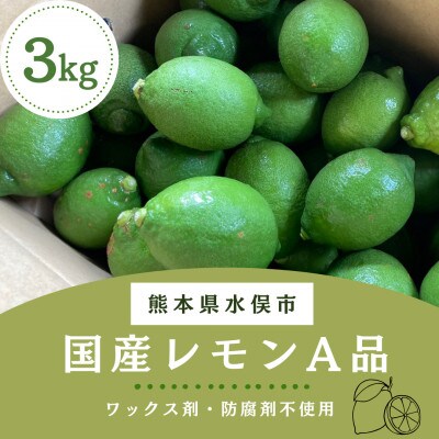 国産レモン　A品3kg(県認証特別栽培)