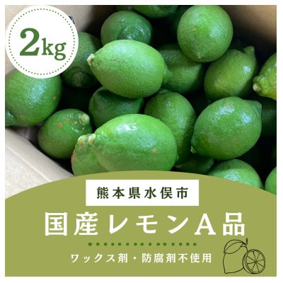 国産レモン　A品2kg(県認証特別栽培)