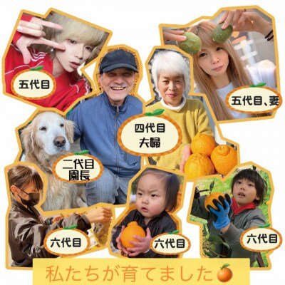 パクパクデコ 3.5kgバラ詰め