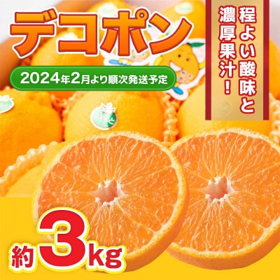 水俣市産 デコポン 約3kg  ※2024年2月25日より発送