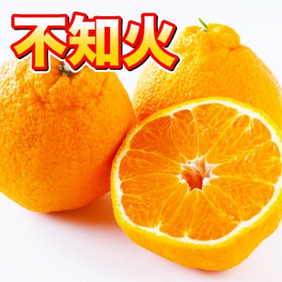 不知火　約3kg(水俣市)