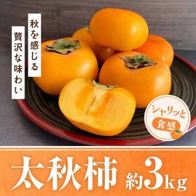 水俣産 太秋柿 約3kg