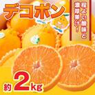 【2025年12月より順次発送】熊本県産 デコポン 約2kg (水俣市)