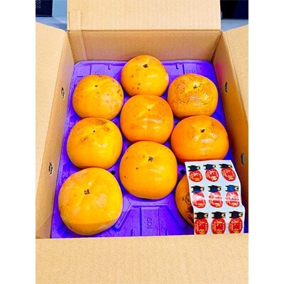 熊本県水俣市産　太秋柿 約2kg入り(水俣市)