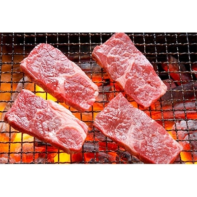 肥後の赤牛　焼肉用　500g(熊本県産和牛)G-4【水俣市】