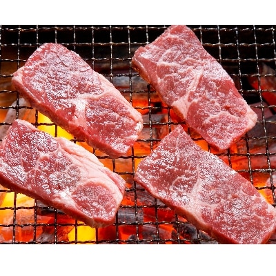 肥後の赤牛　焼肉用　1000g(熊本県産和牛)水俣市】