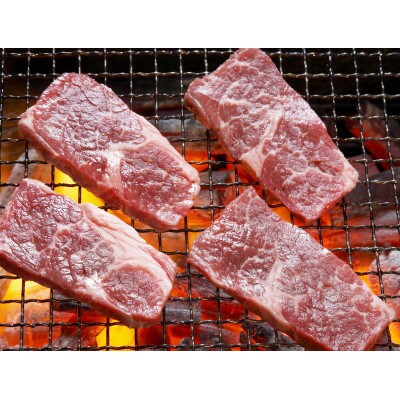 【GI認証】くまもとあか牛 焼肉用500g(水俣市)