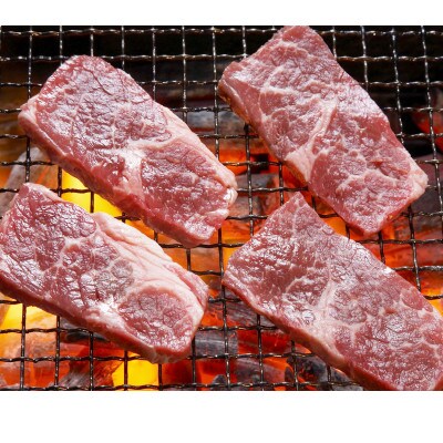 【毎月定期便】肥後の赤牛　焼肉用　500g(熊本県産和牛)(水俣市)全6回