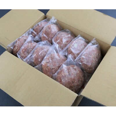 【毎月定期便】馬肉ハンバーグ　150g×10個(水俣市)全6回