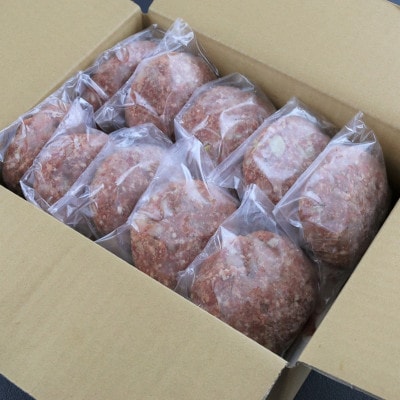 【毎月定期便】馬肉ハンバーグ　150g×10個(水俣市)全3回