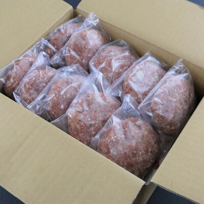 【毎月定期便】熊本県産　和牛　あか牛ハンバーグ　150g×10個(水俣市)全6回