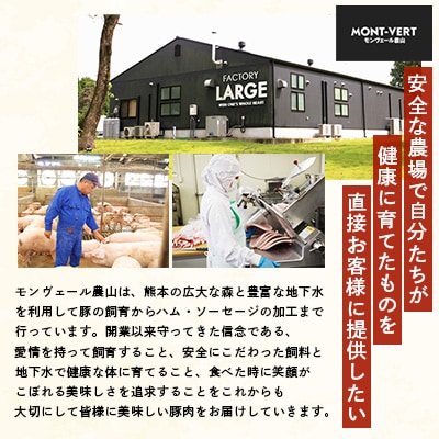 熊本県産モンヴェールポーク　自家製生ハンバーグ9個(120g×3個入り3パック)