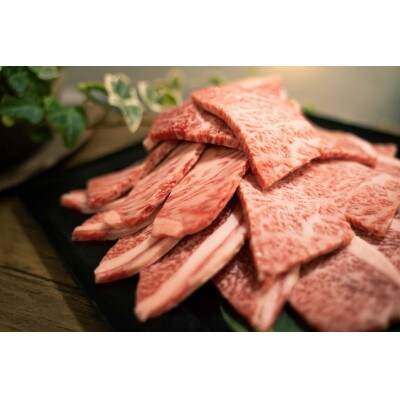 熊本県産和牛 GI認証取得 くまもとあか牛 焼き肉用切り落とし 合計600g【水俣市】