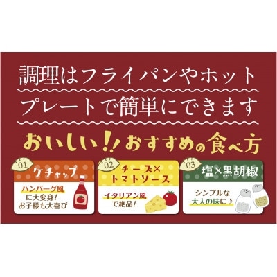 くまもとあか牛100%餃子 60個(20個入り×3)(水俣市)