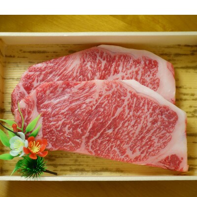 GI認証 くまもとあか牛サーロインステーキ 200g×2(水俣市)