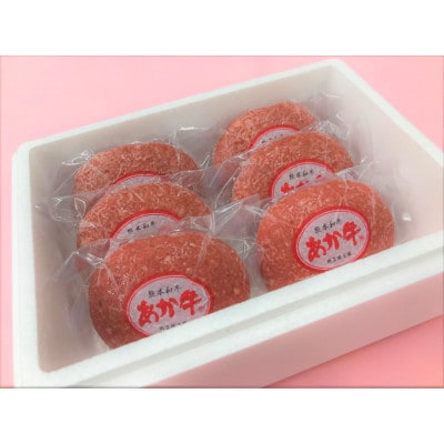 あか牛100%ハンバーグセット(あか牛ハンバーグ120g×6個)(水俣市)