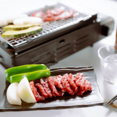 【桜屋】馬肉焼肉用500gカット済(水俣市)