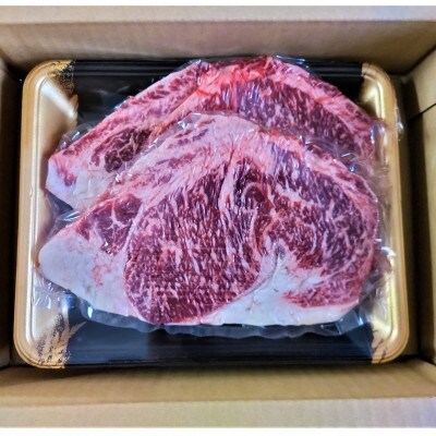 【毎月定期便】GI認証　くまもとあか牛　ロースステーキ500g(水俣市)全3回